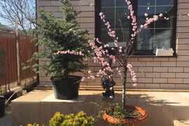 Дом, 110 м² на море