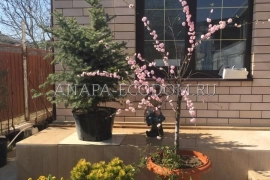 Дом, 110 м² на море