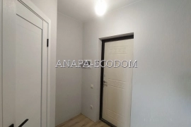1-комн. квартира, 28 м²

